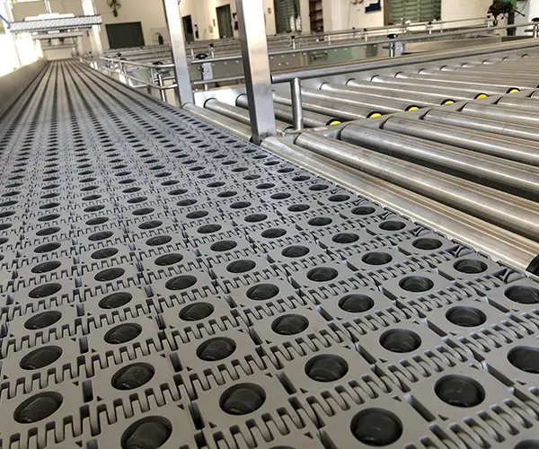 Carton Sorting System (ARB) Conveyor
