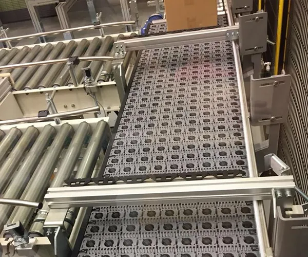 carton merge sorting system manufacturer