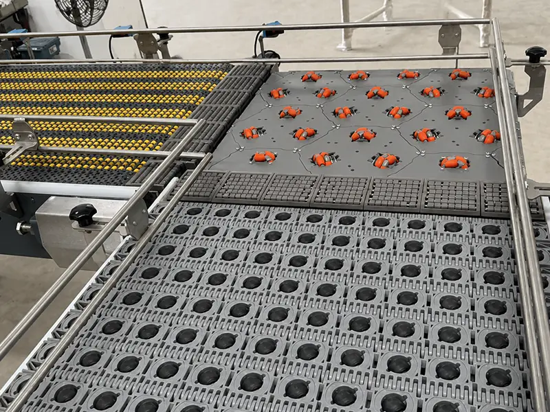 Flexible Roller Conveyor System