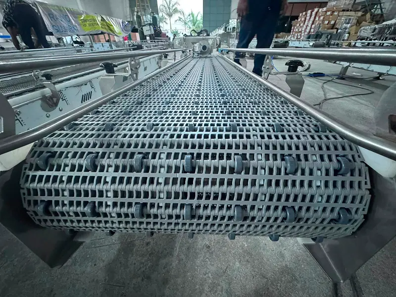 Insert roller conveyor system Manufacturer