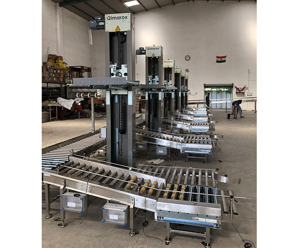End Of Packaging Line Conveyor System