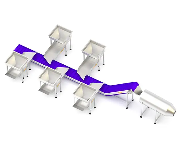 Trough Belt Conveyor for Namkeen Industry