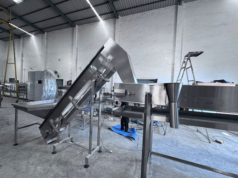potato feeding conveyor system manufacturer in india