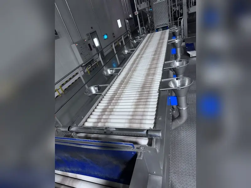 potato inspection conveyor belt