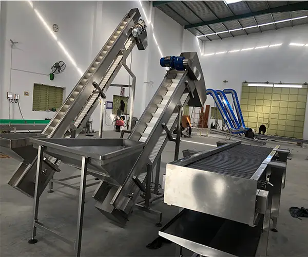 Potato Chips Process Inclined Modular Conveyor in Mexico